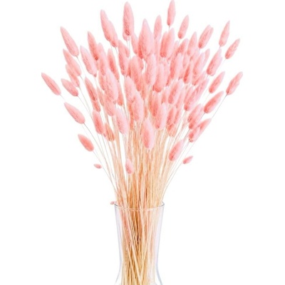 Sušený lagurus (králičí ocásek) světle růžový/soft pink 90g-95g