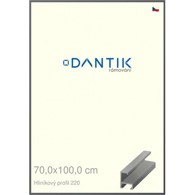 DANTIK rám na obraz 70 x 100 Ocelová