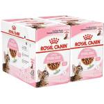 Royal Canin Kitten Sterilised консерви в сос за кастрирани котенца 24 x 85 г