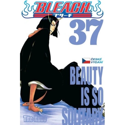 Bleach 37: Beauty Is So Solitary