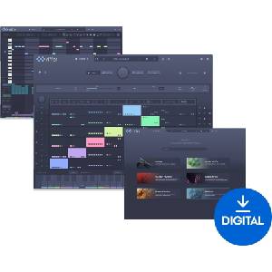 AUDIOMODERN Riffer 4 (Дигитален продукт)