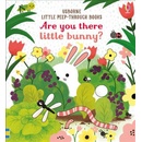 Are you there Little Bunny? Sam Taplin