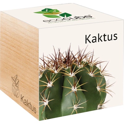 Feel Green ecocube "Exotics" kaktus