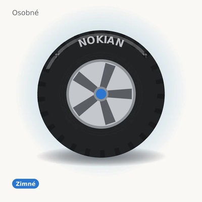Nokian Tyres Hakkapeliitta R5 245/45 R19 102T