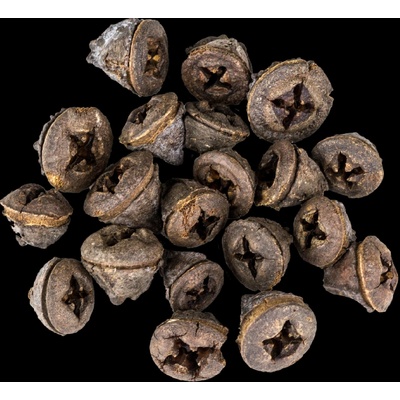 Vánoční Dekorace Eucalyptus Pod 20 ks