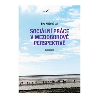 Sociální práce v mezioborové perspektivě