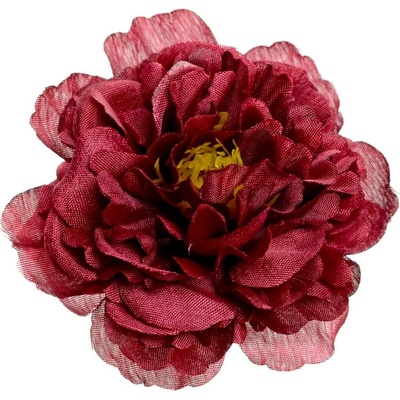 HLAVA PIVÓNIA BORDO P:8CM BAL:24KS