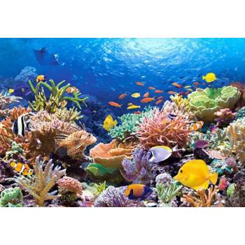 Castorland - Puzzle Coral Fish - 1 000 piese
