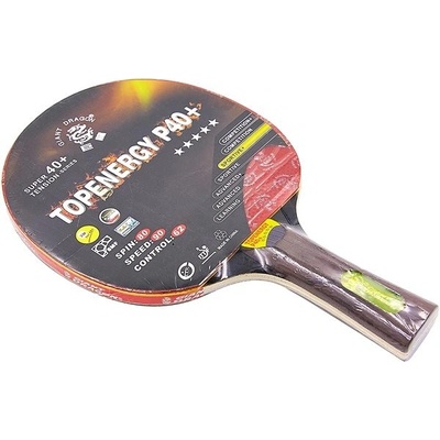 Giant Dragon TOPENERGY P40+