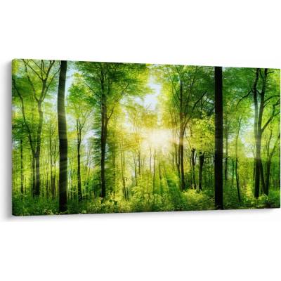 Obraz - Svítání v lese, jednodílný 120x70 cm