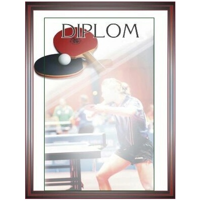 TROFEJE.sk Diplom 15