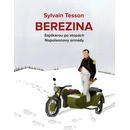Berezina