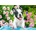Castorland - Puzzle French bulldog puppy 500 - 500 piese