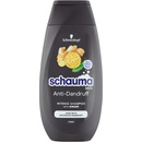 Schauma Intensive proti lupům šampon na vlasy pánský 250 ml