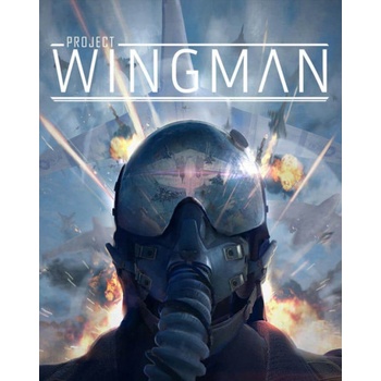 Project Wingman