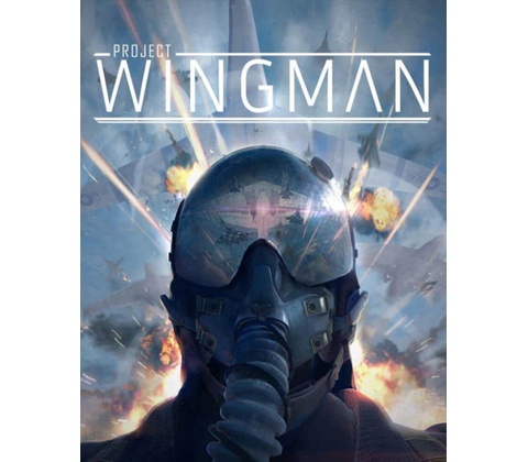 Project Wingman