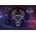 Interdruk - Puzzle Zodiac - Taurus 250 - 250 piese