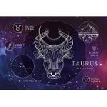 Interdruk - Puzzle Zodiac - Taurus 250 - 250 piese