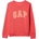 GAP V-sp25 logo xs