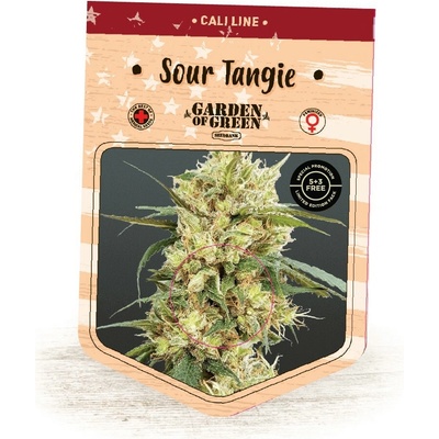 Garden Of Green Seedbank Sour Tangie semienka neobsahujú THC 10 ks