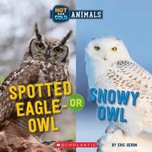 Spotted Eagle-Owl or Snowy Owl Hot and Cold Animals Geron Eric