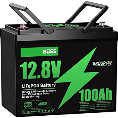 Green Boss LiFePO4 12,8 V 100Ah MINI – Zbozi.Blesk.cz
