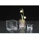 Sandra Rich váza kocka 9,5cm sklo - Sandra Rich