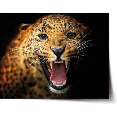 Sablio Plagát Gepard 2 - 90x60 cm