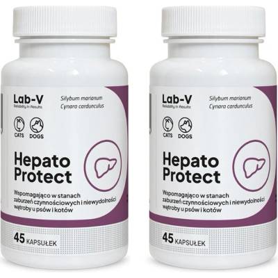 LAB-V Hepato Protect - Podpora funkcie pečene pre psy a mačky 2x45 kapsúl