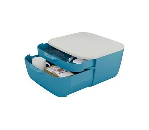 Leitz Cosy