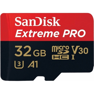 SanDisk microSDHC 32 GB UHS-I U1 173387