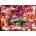 Ravensburger - Puzzle Disney Lorcan: Glimmers of the Realm: Ruby - 1 000 piese