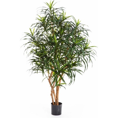 Uměllá rostlina Dracena Anita deluxe, 150cm