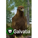 Galvatia