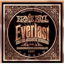 Ernie Ball 2548