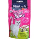 Krmivo pro kočky Vitakraft Cat Yums kuřecí s trávou 40 g