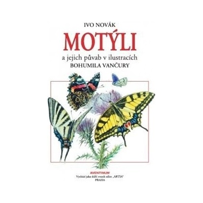 Motýli a jejich půvab