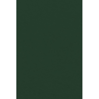 Filc 20x30 cm - jedlově zelený