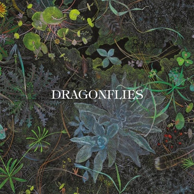 Dragonflies - Dragonflies CD