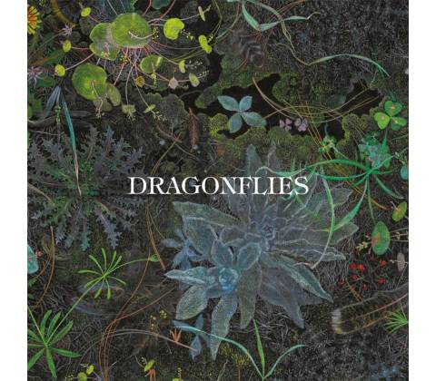 Dragonflies - Dragonflies CD