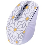 TnB Exclusiv Flower MWXFLOWER