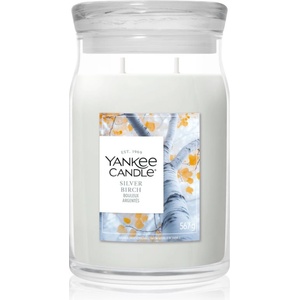 Yankee Candle Silver Birch ароматна свещ 567 гр