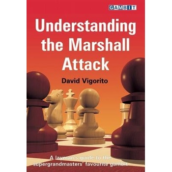 Understanding the Marshall Attack Vigorito DavidPaperback