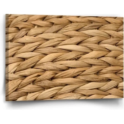 Sablio Obraz Banánové listy 2 - 90x60 cm