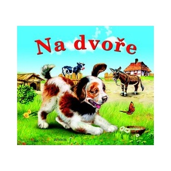 Na dvoře