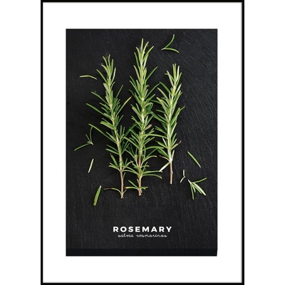 Styler Картина 50x70 cm Rosemary - Styler (OB-14443)