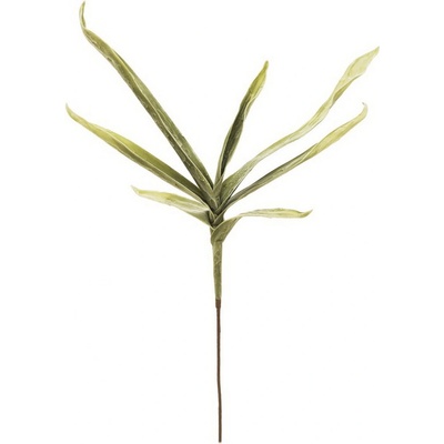 Yucca větev, 100cm