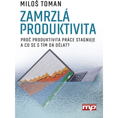 Zamrzlá produktivita - Toman Miloš