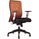 Office Pro Calypso