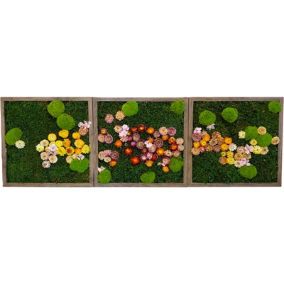 Mechové obrazy TRIO flowers Velikost: 30x30cm